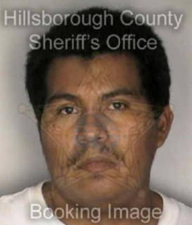 Delacruzhernandez Jose - Hillsborough County, Florida 