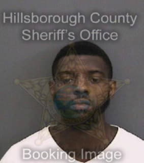 Davis Dwayne - Hillsborough County, Florida 