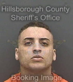 Perez Joshua - Hillsborough County, Florida 