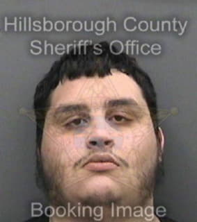 Castro Johnattan - Hillsborough County, Florida 