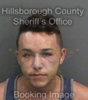 Palma Michael - Hillsborough County, Florida 