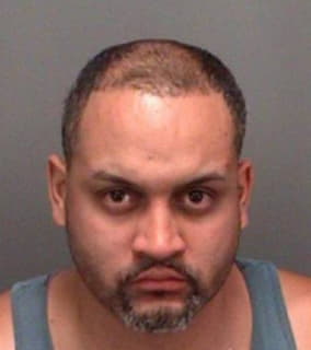 Gonzalez Roberto - Pinellas County, Florida 