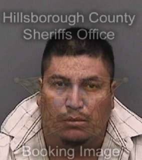 Martinezmartinez Victor - Hillsborough County, Florida 