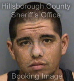 Barrios Gerardo - Hillsborough County, Florida 