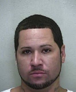 Rondon Ivan - Marion County, Florida 