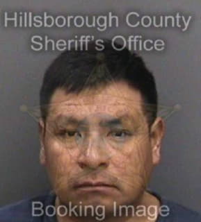 Pascualvelasco Alvaro - Hillsborough County, Florida 