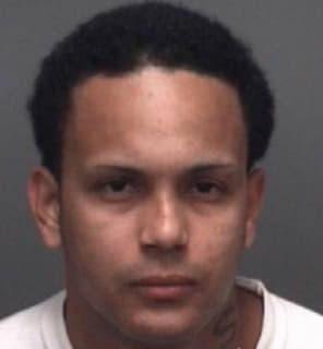 Rivera Carlos - Pinellas County, Florida 