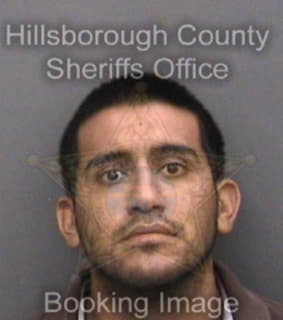 Ortega Jose - Hillsborough County, Florida 