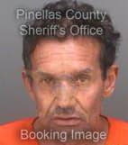 Deoliveira Nelson - Pinellas County, Florida 