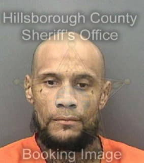 Castro Pedro - Hillsborough County, Florida 