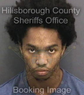 Downer Qayyim - Hillsborough County, Florida 