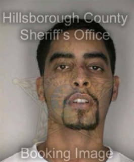 Lopez Richard - Hillsborough County, Florida 