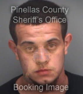 Gonzalez William - Pinellas County, Florida 