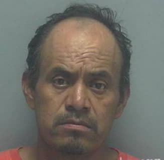 Robles-Martinez Venancio - Lee County, Florida 