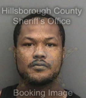 Miles Devonitea - Hillsborough County, Florida 