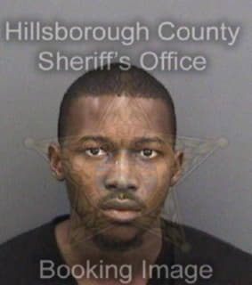 Sampson Kalvin - Hillsborough County, Florida 