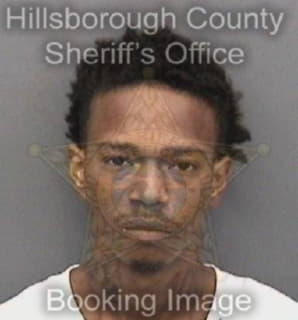 Robinson David - Hillsborough County, Florida 