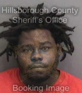 Mingo Liljames - Hillsborough County, Florida 