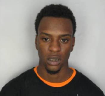 Johnson Martin - Hillsborough County, Florida 