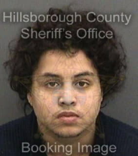 Perez Michael - Hillsborough County, Florida 