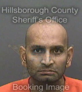 Patel Milen - Hillsborough County, Florida 