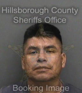 Jose Gustavo - Hillsborough County, Florida 