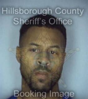 Knight James - Hillsborough County, Florida 