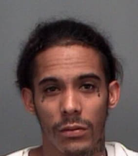King Ian - Pinellas County, Florida 
