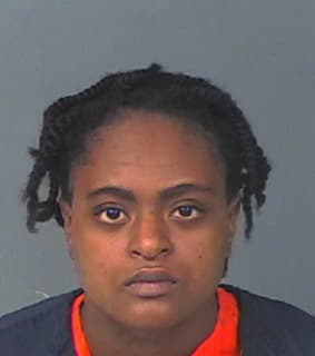 Simmons Nicole - Hernando County, Florida 