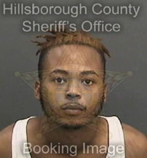 Brandon Sirree - Hillsborough County, Florida 