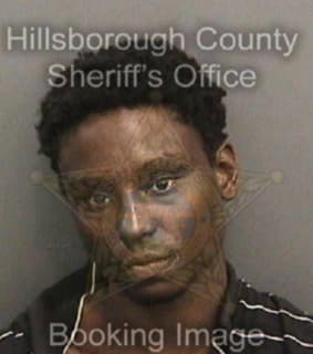 Dow Steven - Hillsborough County, Florida 