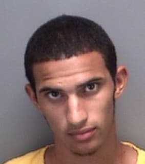 Mccray Carlos - Pinellas County, Florida 