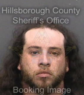 Sanchez Juan - Hillsborough County, Florida 