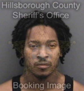 Payne Micheal - Hillsborough County, Florida 