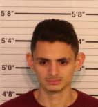 Calderonleal Moises - Shelby County, Tennessee 