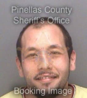 Hernandez Jose - Pinellas County, Florida 