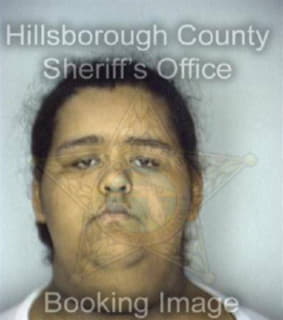 Negron Becky - Hillsborough County, Florida 