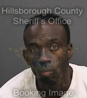 Wallace Derrek - Hillsborough County, Florida 