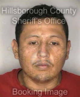 Contreras Eleazar - Hillsborough County, Florida 