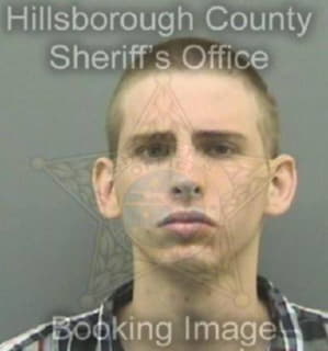 Alessandrini Michael - Hillsborough County, Florida 