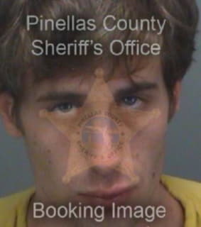 Finney Michael - Pinellas County, Florida 