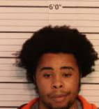 Warren Javontae - Shelby County, Tennessee 