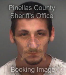 Goodin Paul - Pinellas County, Florida 