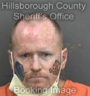 Johnson Matthew - Hillsborough County, Florida 