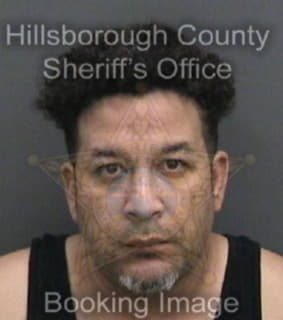 Lopez Miguel - Hillsborough County, Florida 