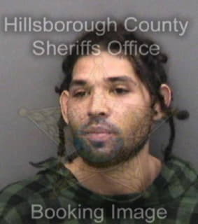 Mitchell Brian - Hillsborough County, Florida 