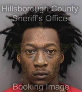 Crawford Deonte - Hillsborough County, Florida 