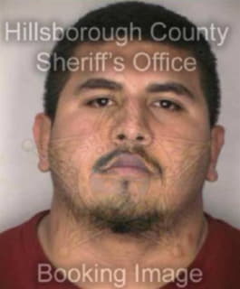 Garza Edelmiro - Hillsborough County, Florida 