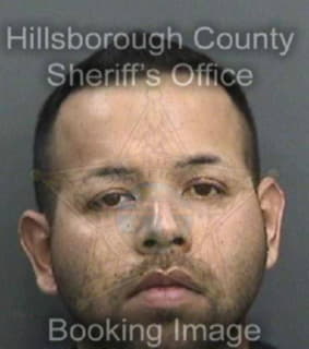Sanchez Juan - Hillsborough County, Florida 