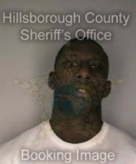 Mcelroy Marlo - Hillsborough County, Florida 